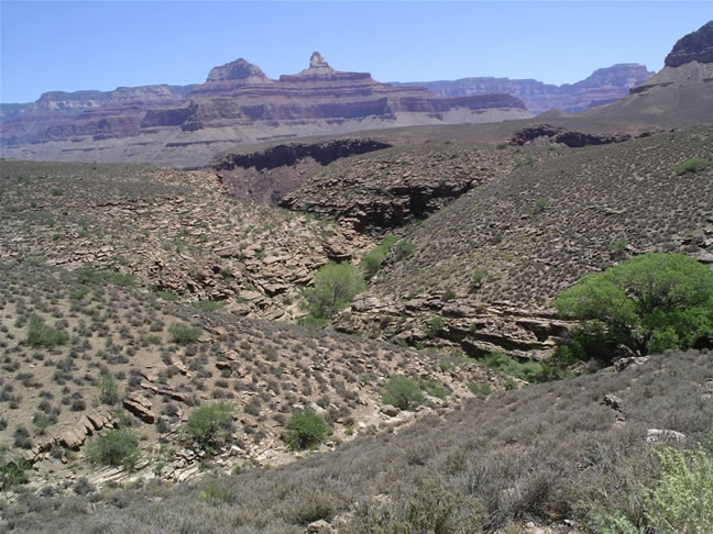 images/A-Mule Ride- returning to the Rim (1).jpg